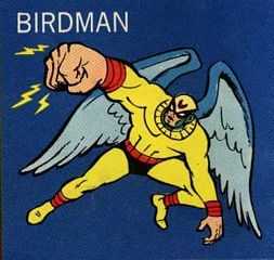 Birdman And Avenger